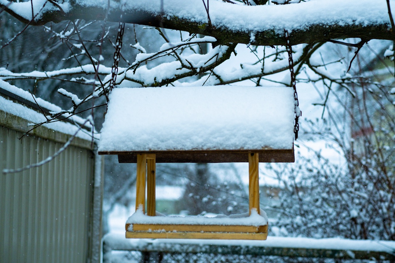 How to Build a DIY Birdhouse for Your Garden